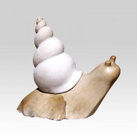 Snail Clive Thodlana